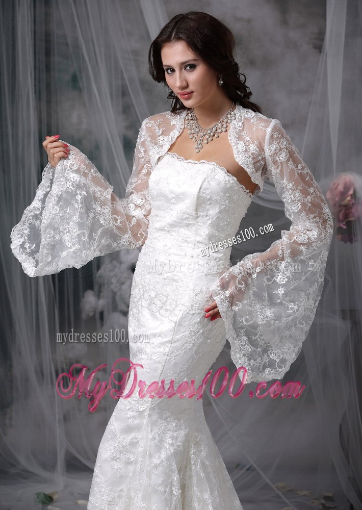 Lace Mermaid Court Train Clasp Handle Dresses for the Bride 2013